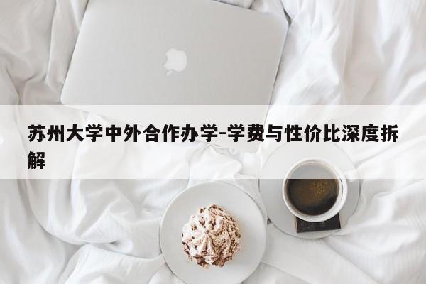 苏州大学中外合作办学-学费与性价比深度拆解