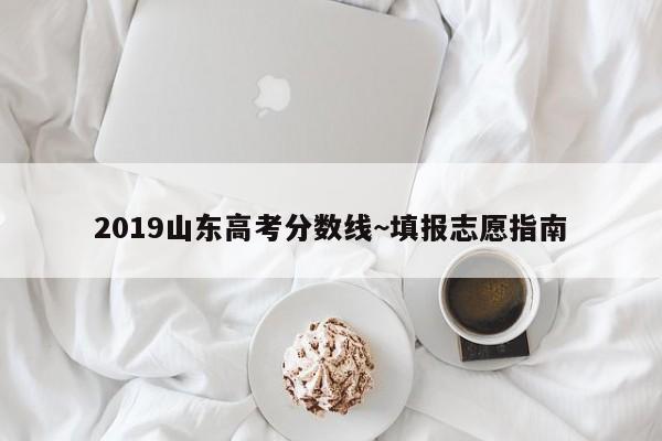 2019山东高考分数线~填报志愿指南